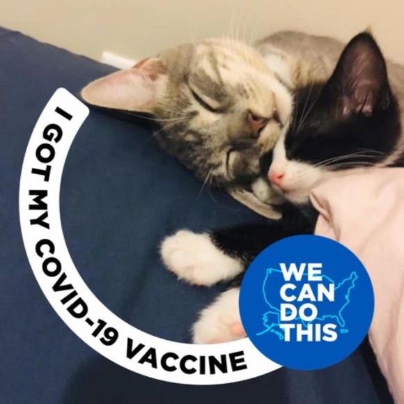 Meet your Posher, Huiq - Picture 1 of 1